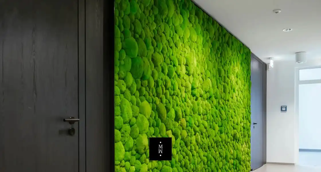 a green wall with a black door
