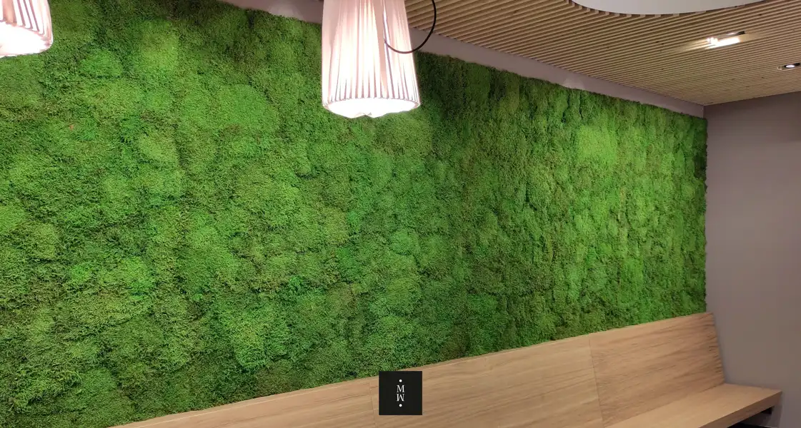 a green wall with a light