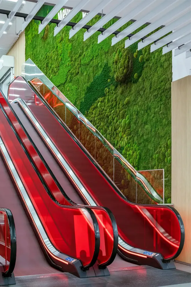a red escalators with a green wall behind them