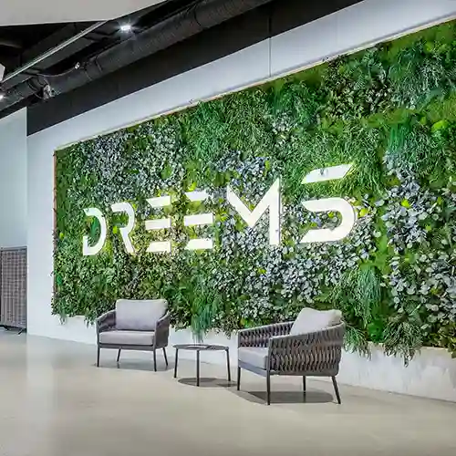 MOOSMOOS Manufaktur - Individuelles Firmenlogo aus Moos als Mooswand - Maßgefertigtes Branding mit natürlicher Wandbegrünung