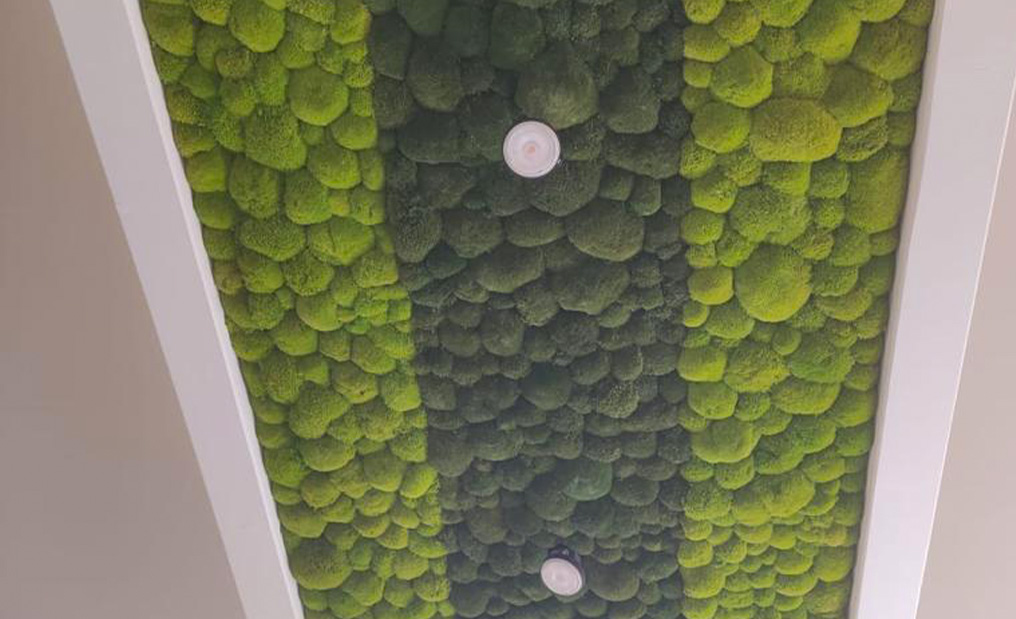 Referenz Jens T.