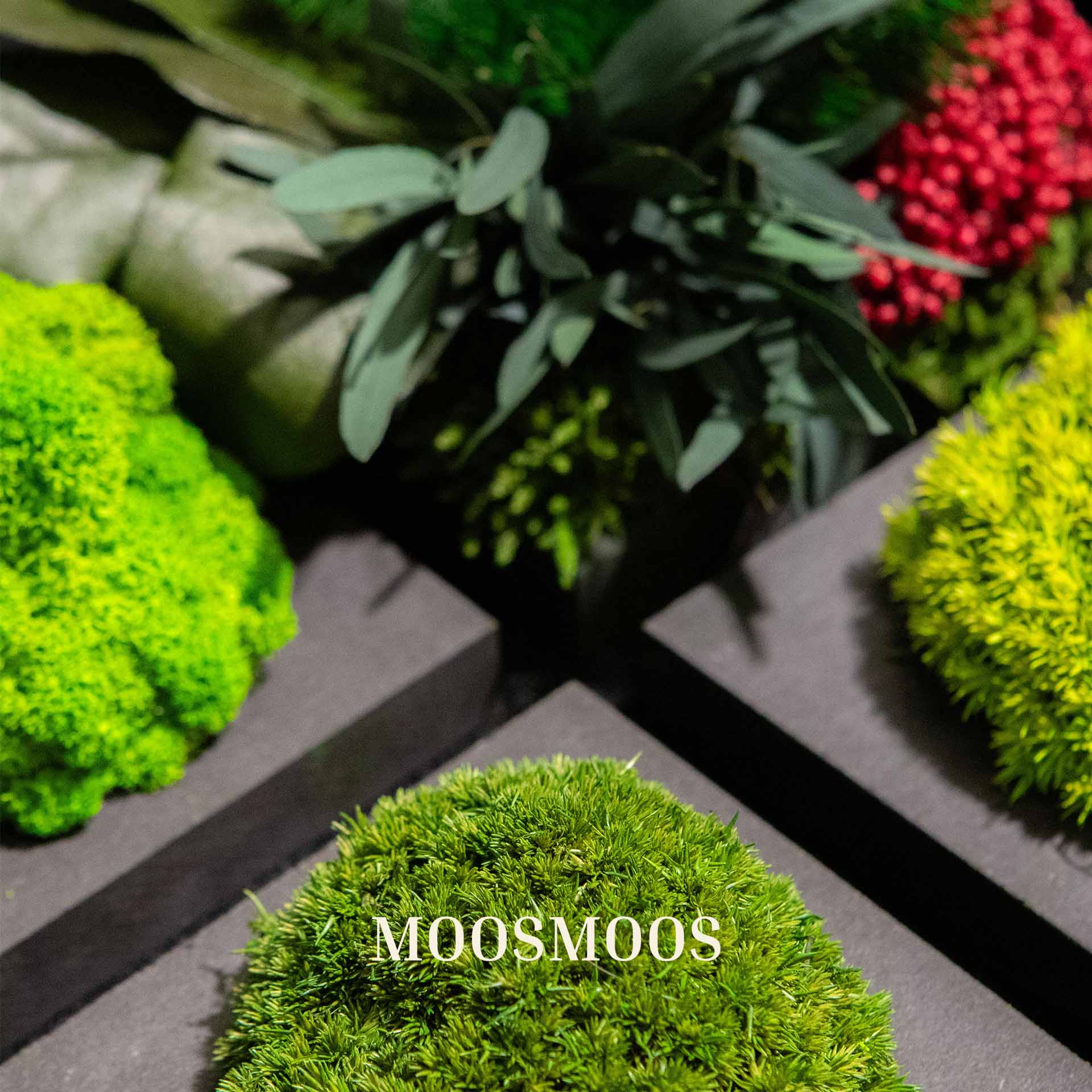 Der komplette Inhalt der MOOSMOOS Musterbox mit Moosmustern und Katalog